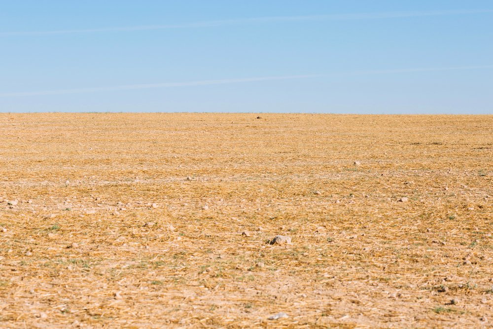 Residential Plot is Available for Sale