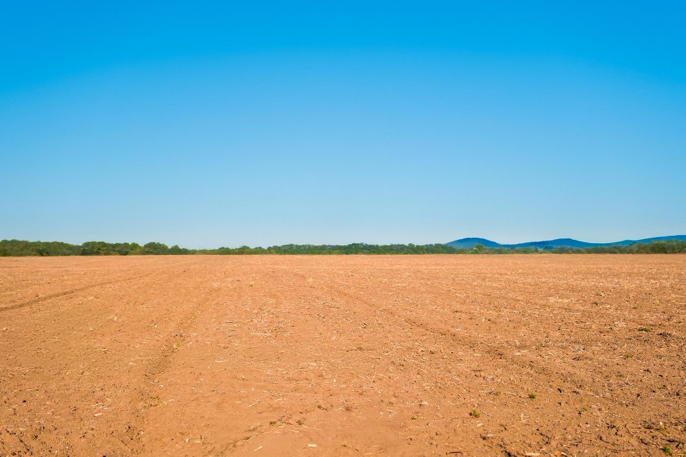 Residential Plot is Available for Sale